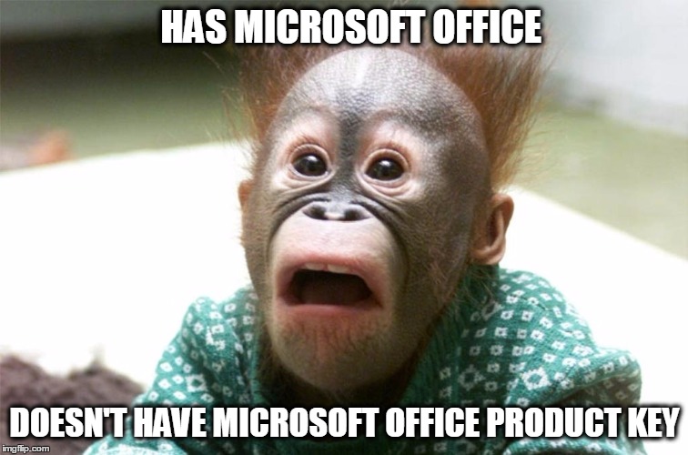 HAS MICROSOFT OFFICE; DOESN'T HAVE MICROSOFT OFFICE PRODUCT KEY | image tagged in techsupportanimals | made w/ Imgflip meme maker
