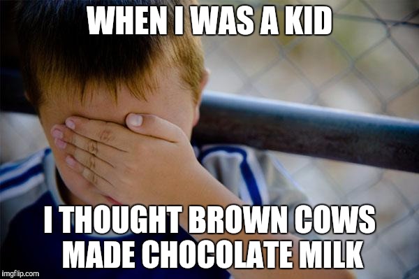 Confession Kid Meme | WHEN I WAS A KID; I THOUGHT BROWN COWS MADE CHOCOLATE MILK | image tagged in memes,confession kid | made w/ Imgflip meme maker