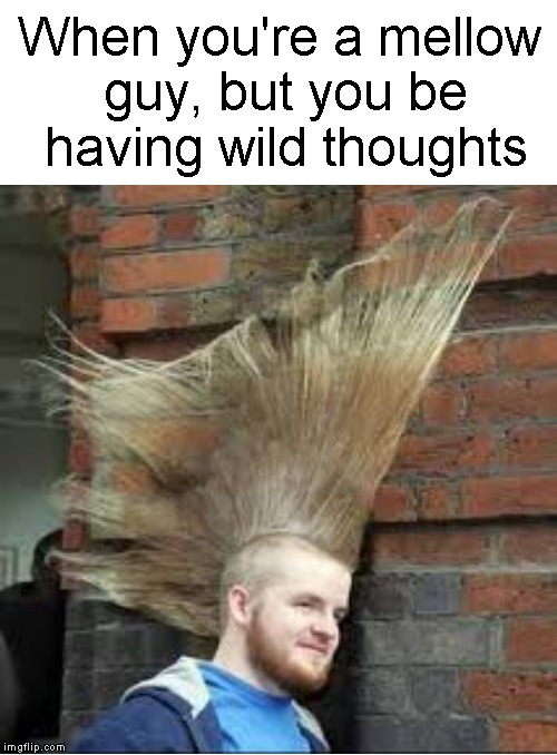 Thoughts got my hair wildin' out.... | When you're a mellow guy, but you be having wild thoughts | image tagged in funny memes,hair,wild,thoughts,hairstyle,memes | made w/ Imgflip meme maker