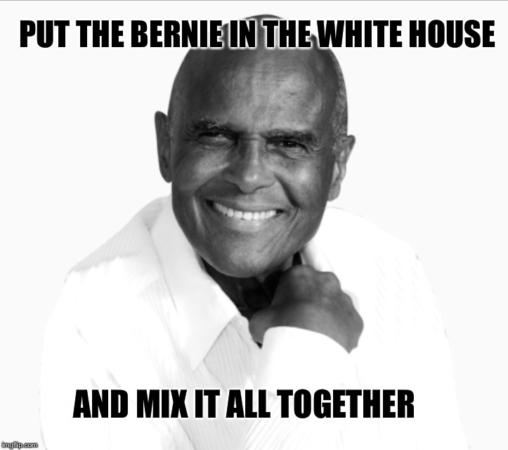 Belafonte for Bernie  | PUT THE BERNIE IN THE WHITE HOUSE; AND MIX IT ALL TOGETHER | image tagged in music | made w/ Imgflip meme maker