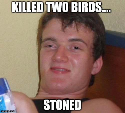 10 Guy Meme | KILLED TWO BIRDS.... STONED | image tagged in memes,10 guy | made w/ Imgflip meme maker