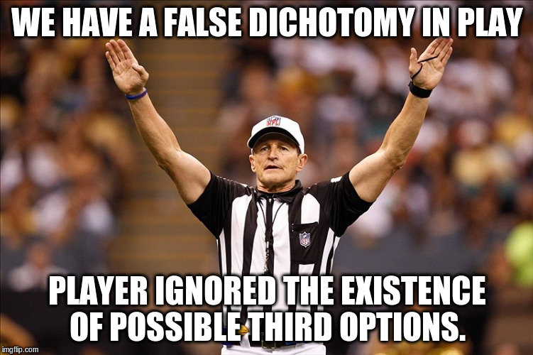 Logical Fallacy Referee NFL #85 | WE HAVE A FALSE DICHOTOMY IN PLAY; PLAYER IGNORED THE EXISTENCE OF POSSIBLE THIRD OPTIONS. | image tagged in logical fallacy referee nfl 85 | made w/ Imgflip meme maker