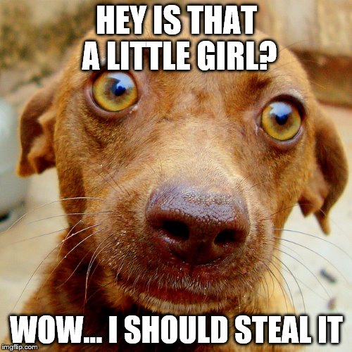 Wow-Dog | HEY IS THAT A LITTLE GIRL? WOW... I SHOULD STEAL IT | image tagged in wow-dog | made w/ Imgflip meme maker