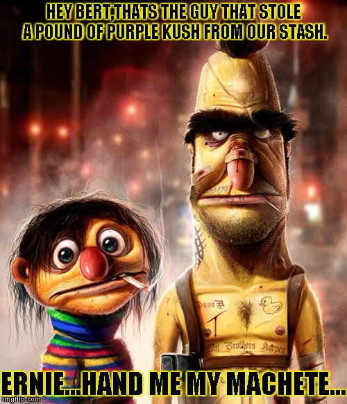 Hard core Bert & Ernie | HEY BERT,THATS THE GUY THAT STOLE A POUND OF PURPLE KUSH FROM OUR STASH. ERNIE...HAND ME MY MACHETE... | image tagged in hard core bert  ernie | made w/ Imgflip meme maker