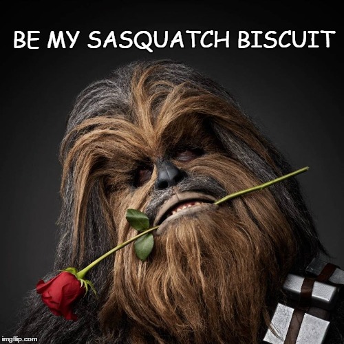 Pet Names | BE MY SASQUATCH BISCUIT | image tagged in valentine's day,chewbacca | made w/ Imgflip meme maker