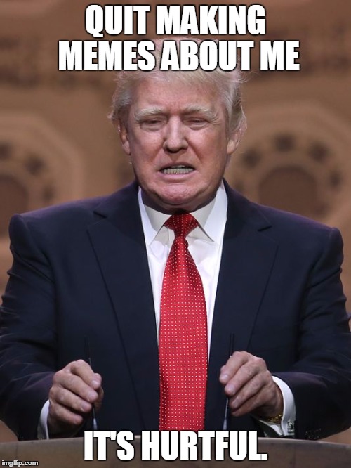 Hurtful. | QUIT MAKING MEMES ABOUT ME; IT'S HURTFUL. | image tagged in donald trump | made w/ Imgflip meme maker