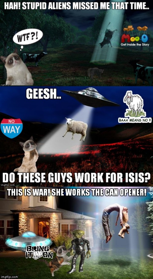 The aliens decide he's too Grumpy to abduct... | image tagged in grumpy cat,aliens | made w/ Imgflip meme maker