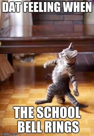 Cool Cat Stroll Meme | DAT FEELING WHEN; THE SCHOOL BELL RINGS | image tagged in memes,cool cat stroll | made w/ Imgflip meme maker