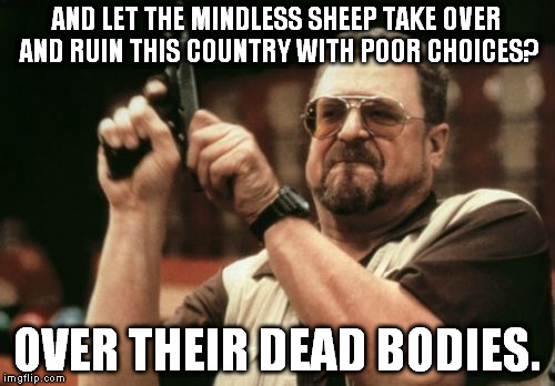 Am I The Only One Around Here Meme | AND LET THE MINDLESS SHEEP TAKE OVER AND RUIN THIS COUNTRY WITH POOR CHOICES? OVER THEIR DEAD BODIES. | image tagged in memes,am i the only one around here | made w/ Imgflip meme maker