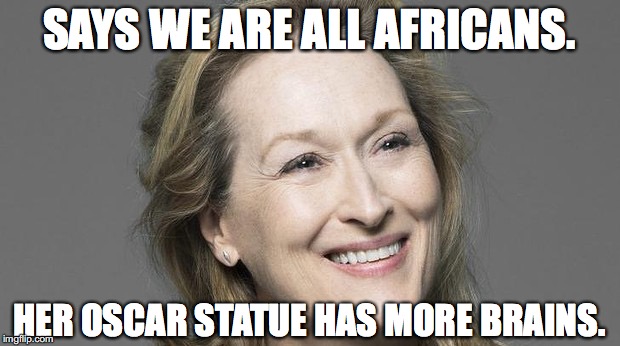 Sharp as ten pounds of wet leather |  SAYS WE ARE ALL AFRICANS. HER OSCAR STATUE HAS MORE BRAINS. | image tagged in meryl streep,hollywood,2016,africans,racism,dumb | made w/ Imgflip meme maker