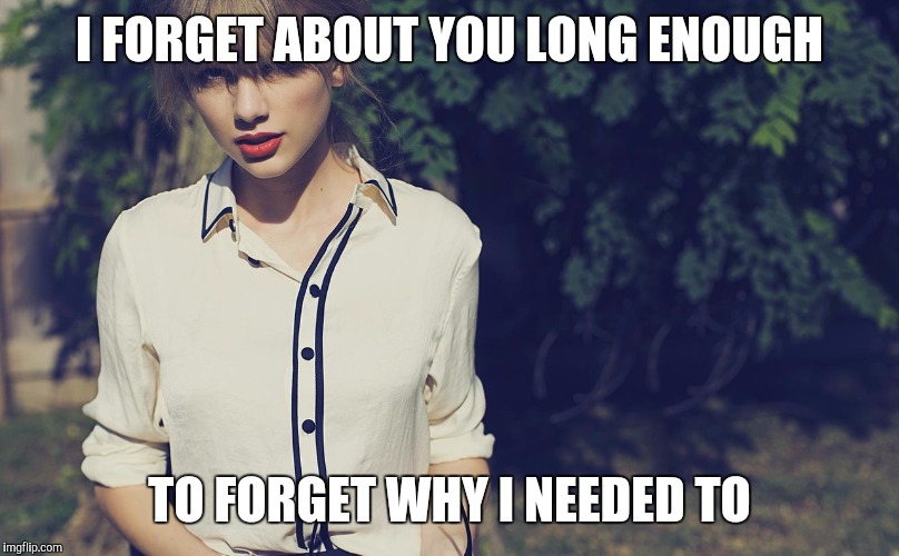 Taylor Swift | I FORGET ABOUT YOU LONG ENOUGH; TO FORGET WHY I NEEDED TO | image tagged in taylor swift | made w/ Imgflip meme maker