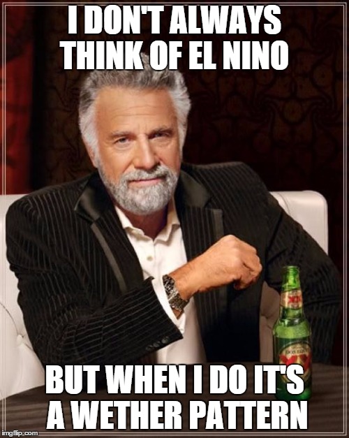 The Most Interesting Man In The World Meme | I DON'T ALWAYS THINK OF EL NINO; BUT WHEN I DO IT'S A WETHER PATTERN | image tagged in memes,the most interesting man in the world | made w/ Imgflip meme maker