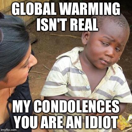 Third World Skeptical Kid | GLOBAL WARMING ISN'T REAL; MY CONDOLENCES YOU ARE AN IDIOT | image tagged in memes,third world skeptical kid | made w/ Imgflip meme maker