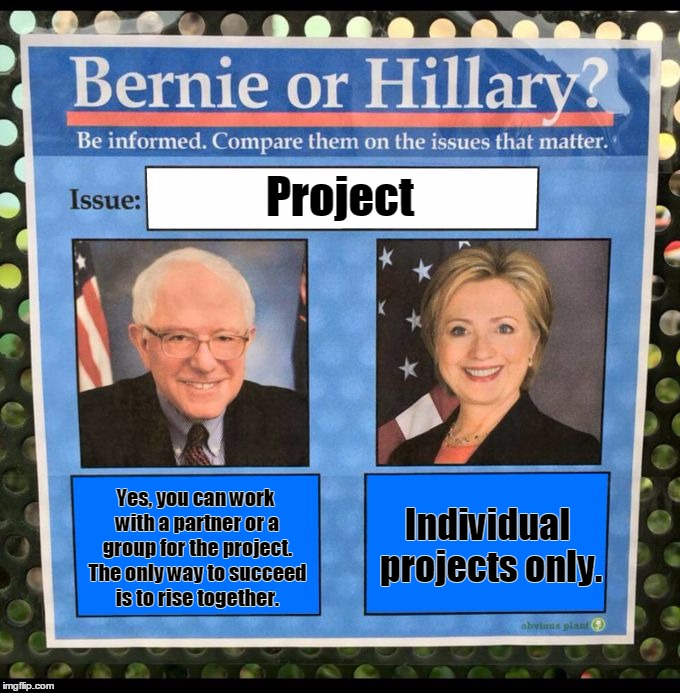 Bernie or Hillary? | Project; Yes, you can work with a partner or a group for the project. The only way to succeed is to rise together. Individual projects only. | image tagged in bernie or hillary | made w/ Imgflip meme maker