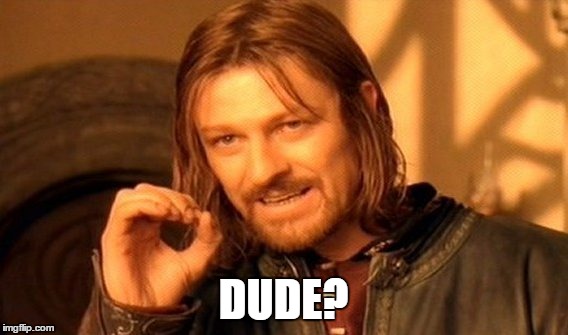 One Does Not Simply Meme | DUDE? | image tagged in memes,one does not simply | made w/ Imgflip meme maker