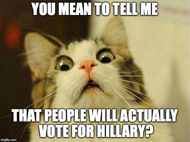 Scared Cat Meme | YOU MEAN TO TELL ME; THAT PEOPLE WILL ACTUALLY VOTE FOR HILLARY? | image tagged in memes,scared cat | made w/ Imgflip meme maker