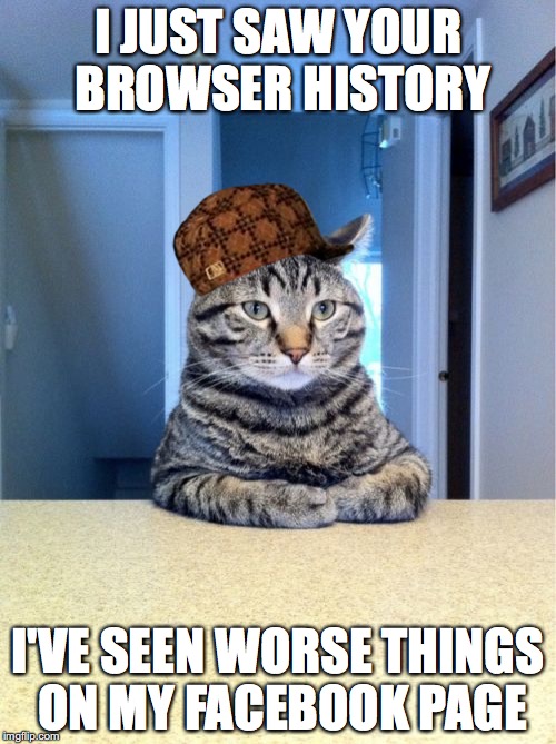 Take A Seat Cat | I JUST SAW YOUR BROWSER HISTORY; I'VE SEEN WORSE THINGS ON MY FACEBOOK PAGE | image tagged in memes,take a seat cat,scumbag | made w/ Imgflip meme maker
