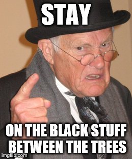 Back In My Day Meme | STAY ON THE BLACK STUFF BETWEEN THE TREES | image tagged in memes,back in my day | made w/ Imgflip meme maker
