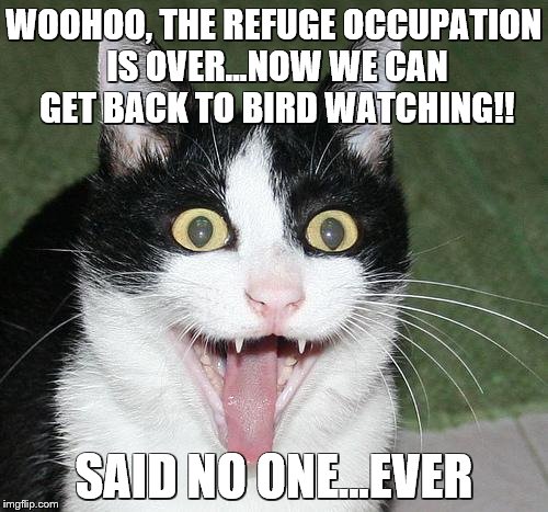 excited cat | WOOHOO, THE REFUGE OCCUPATION IS OVER...NOW WE CAN GET BACK TO BIRD WATCHING!! SAID NO ONE...EVER | image tagged in excited cat | made w/ Imgflip meme maker