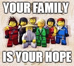 ninja | YOUR FAMILY; IS YOUR HOPE | image tagged in ninja | made w/ Imgflip meme maker