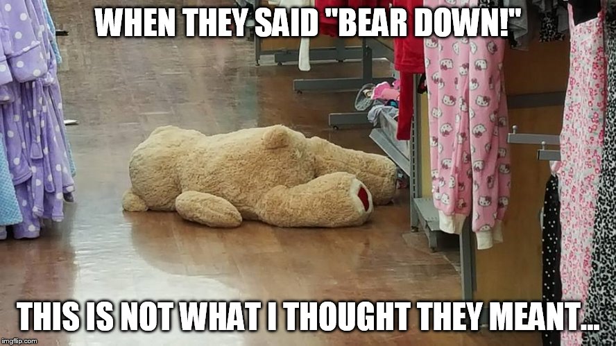 Bear Down | WHEN THEY SAID "BEAR DOWN!"; THIS IS NOT WHAT I THOUGHT THEY MEANT... | image tagged in bear down,bear,shopping,pregnancy,puns | made w/ Imgflip meme maker