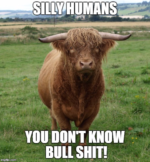 SILLY HUMANS; YOU DON'T KNOW BULL SHIT! | image tagged in bull shit | made w/ Imgflip meme maker