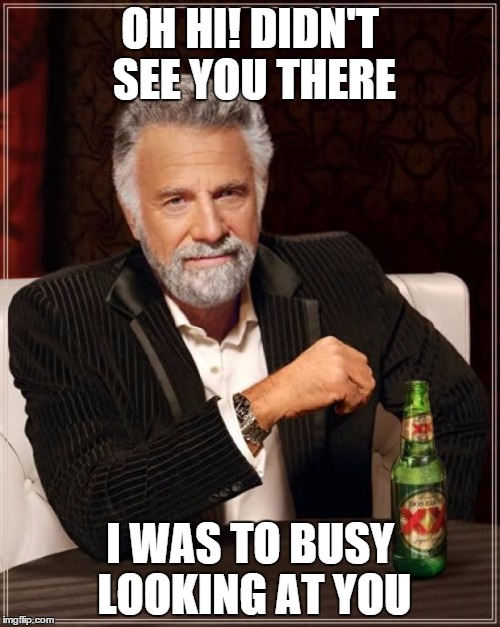 The Most Interesting Man In The World Meme | OH HI! DIDN'T SEE YOU THERE; I WAS TO BUSY LOOKING AT YOU | image tagged in memes,the most interesting man in the world | made w/ Imgflip meme maker