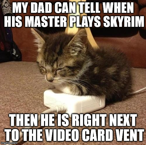 happy kitty | MY DAD CAN TELL WHEN HIS MASTER PLAYS SKYRIM; THEN HE IS RIGHT NEXT TO THE VIDEO CARD VENT | image tagged in happy kitty | made w/ Imgflip meme maker