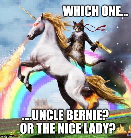 WHICH ONE... ....UNCLE BERNIE?  OR THE NICE LADY? | made w/ Imgflip meme maker