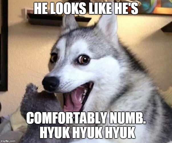 HE LOOKS LIKE HE'S COMFORTABLY NUMB. HYUK HYUK HYUK | made w/ Imgflip meme maker