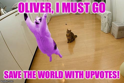 RayCat save the world | OLIVER, I MUST GO SAVE THE WORLD WITH UPVOTES! | image tagged in raycat save the world | made w/ Imgflip meme maker