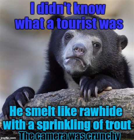 I ATE the tourist | I didn't know what a tourist was; He smelt like rawhide with a sprinkling of trout; The camera was crunchy | image tagged in memes,confession bear | made w/ Imgflip meme maker