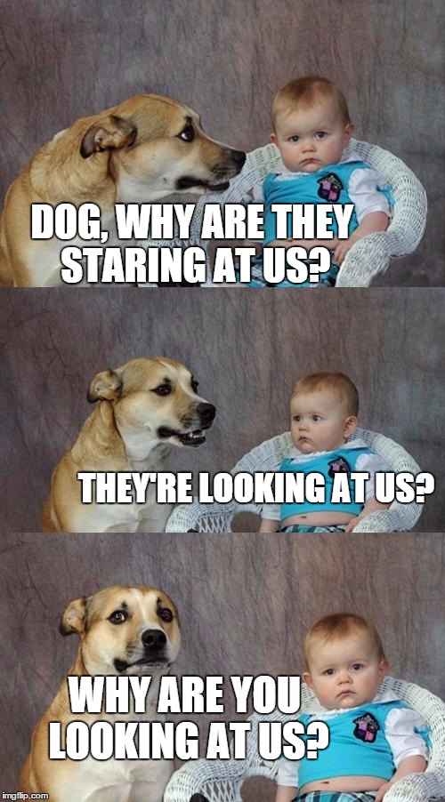 Why are you looking at us? - Imgflip