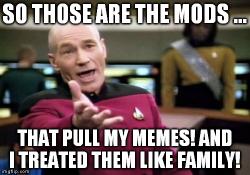 Picard Wtf Meme | SO THOSE ARE THE MODS ... THAT PULL MY MEMES! AND I TREATED THEM LIKE FAMILY! | image tagged in memes,picard wtf | made w/ Imgflip meme maker