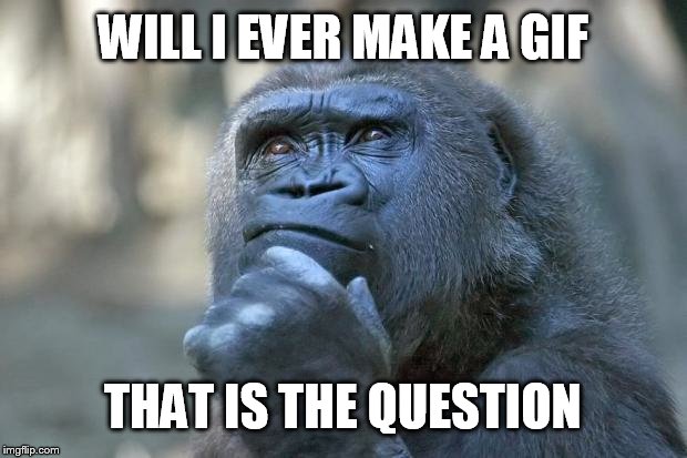 that is the question | WILL I EVER MAKE A GIF; THAT IS THE QUESTION | image tagged in that is the question | made w/ Imgflip meme maker