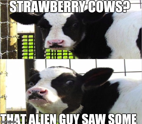 STRAWBERRY COWS? THAT ALIEN GUY SAW SOME | made w/ Imgflip meme maker