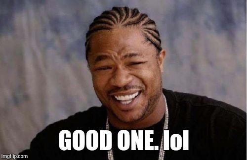 Yo Dawg Heard You Meme | GOOD ONE. lol | image tagged in memes,yo dawg heard you | made w/ Imgflip meme maker