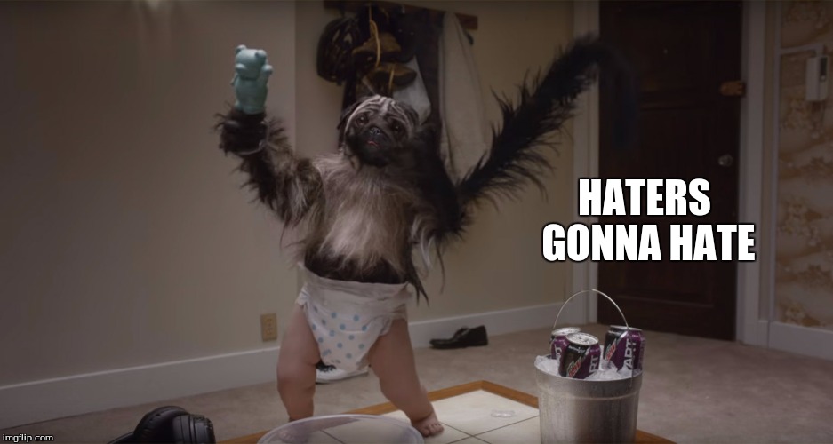Puppy Monkey Baby Haters Gonna Hate | HATERS GONNA HATE | image tagged in puppy monkey baby | made w/ Imgflip meme maker