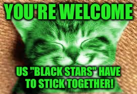 happy RayCat | YOU'RE WELCOME US "BLACK STARS" HAVE TO STICK TOGETHER! | image tagged in happy raycat | made w/ Imgflip meme maker