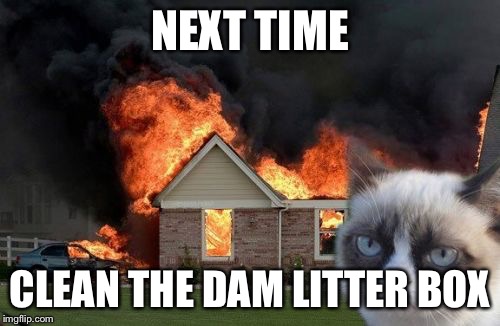 Burn Kitty | NEXT TIME; CLEAN THE DAM LITTER BOX | image tagged in memes,burn kitty | made w/ Imgflip meme maker
