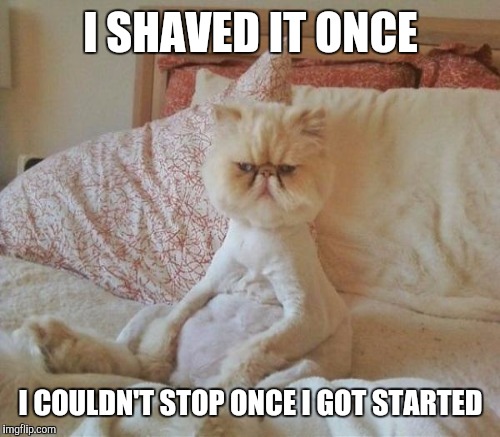 I SHAVED IT ONCE I COULDN'T STOP ONCE I GOT STARTED | made w/ Imgflip meme maker