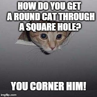 a lame joke about a fat cat in the ceiling | HOW DO YOU GET  A ROUND CAT THROUGH A SQUARE HOLE? YOU CORNER HIM! | image tagged in memes,ceiling cat,funny memes,cat memes,joke | made w/ Imgflip meme maker