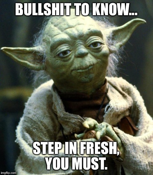 Star Wars Yoda Meme | BULLSHIT TO KNOW... STEP IN FRESH, YOU MUST. | image tagged in memes,star wars yoda | made w/ Imgflip meme maker