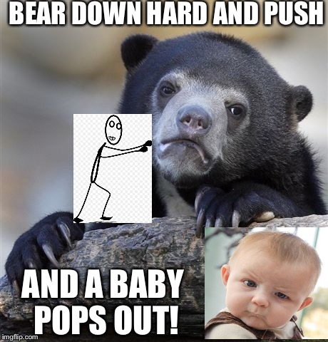 Confession Bear Meme | BEAR DOWN HARD AND PUSH AND A BABY POPS OUT! | image tagged in memes,confession bear | made w/ Imgflip meme maker