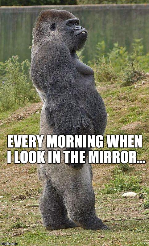 Morning stretch | EVERY MORNING WHEN I LOOK IN THE MIRROR... | image tagged in morning,mirror,reflection | made w/ Imgflip meme maker