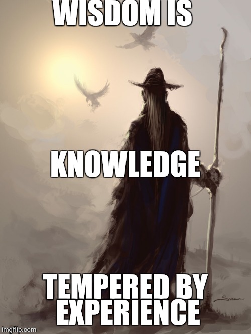 odin1 | WISDOM IS; KNOWLEDGE; TEMPERED BY EXPERIENCE | image tagged in odin1 | made w/ Imgflip meme maker