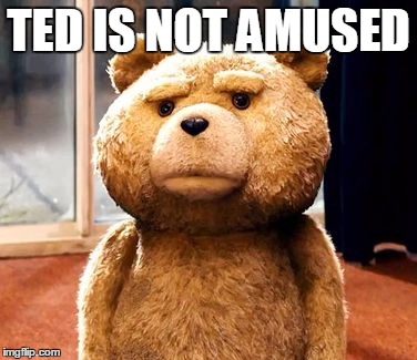 TED | TED IS NOT AMUSED | image tagged in memes,ted | made w/ Imgflip meme maker