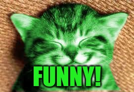 happy RayCat | FUNNY! | image tagged in happy raycat | made w/ Imgflip meme maker