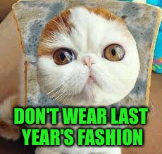 Moldy Bread Cat | DON'T WEAR LAST YEAR'S FASHION | image tagged in moldy bread cat | made w/ Imgflip meme maker