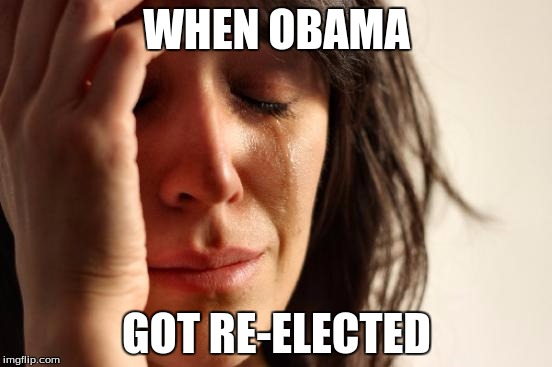 Obama's Re-Election | WHEN OBAMA; GOT RE-ELECTED | image tagged in memes,obama,liberals | made w/ Imgflip meme maker